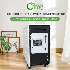 Oxygen Concentrator,Olive 20L--Wholesale Hospital Oxygen Equipment 2 Person High Flow 20L Oxygen Concentrator Machine