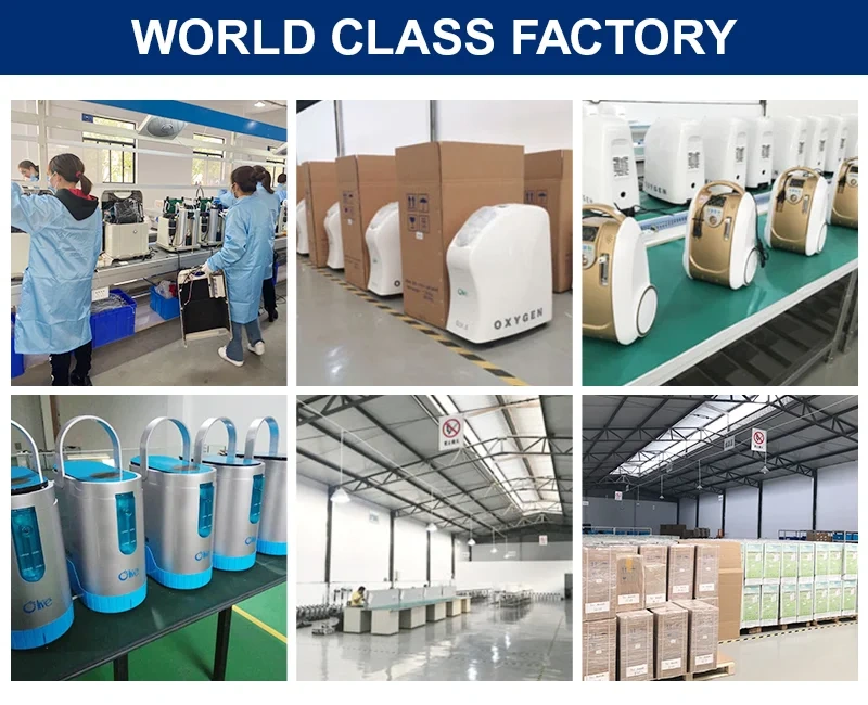 Oxygen Concentrator,Veterinarian Uses 1L Oxygen Concentrator  Oxygen Machine for Pet