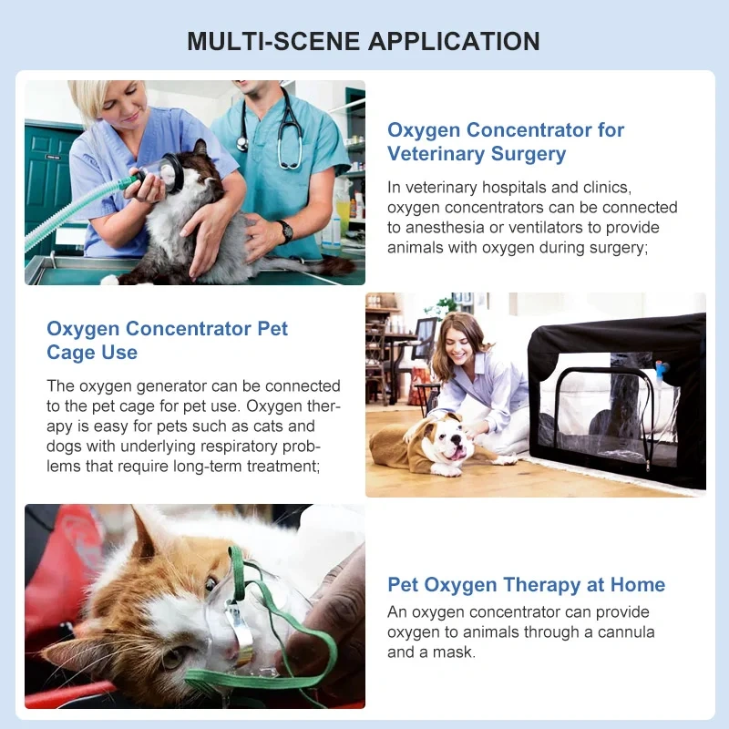 Oxygen Concentrator,5L High Quality Medical Animal Oxygen Concentrator For Veterinary Oxygen Concentrator For Puppies