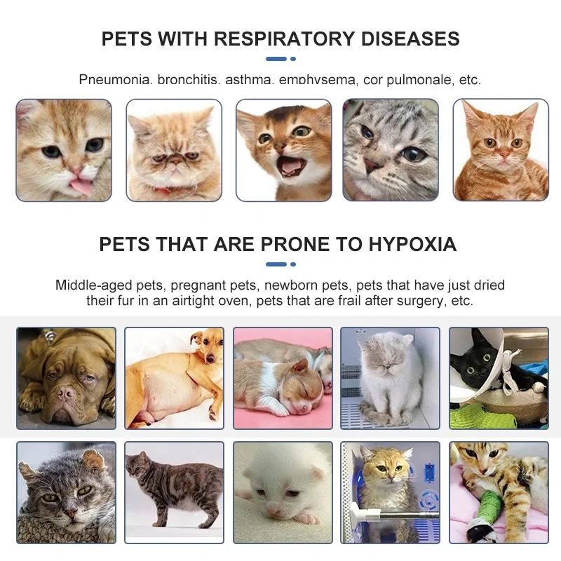 Oxygen Concentrator,5L High Quality Medical Animal Oxygen Concentrator For Veterinary Oxygen Concentrator For Puppies