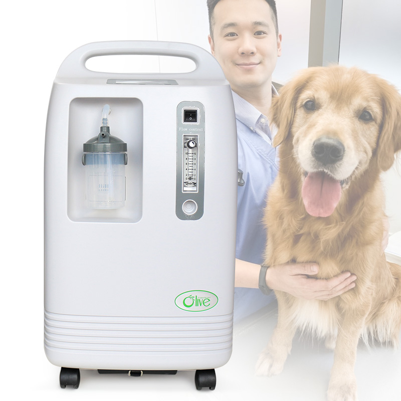 portable oxygen concentrator for pet