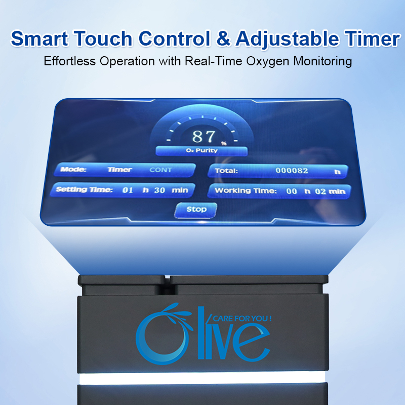 Oxygen Concentrator,20L High Flow Oxygen Concentrator For Hyperbaric Chamber