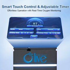 Oxygen Concentrator,20L High Flow Oxygen Concentrator For Hyperbaric Chamber