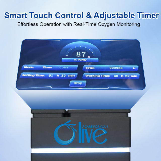 Oxygen Concentrator,20L High Flow Oxygen Concentrator For Hyperbaric Chamber