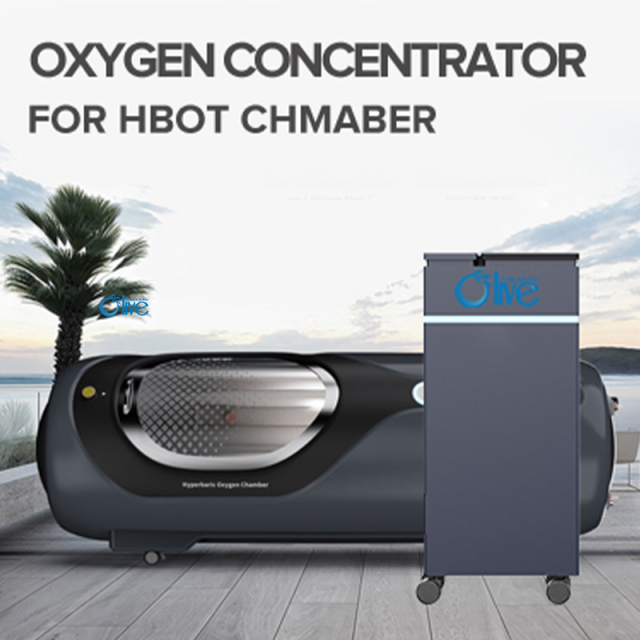 Oxygen Concentrator,20L High Flow Oxygen Concentrator For Hyperbaric Chamber