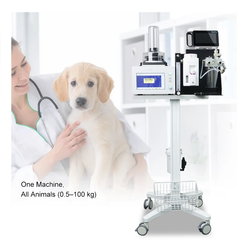 Oxygen Concentrator,Vet Respiratory Dog Anesthesia Machine Medical 0.5-100kg Animals Veterinary Anesthesia Medicine with Trolley
