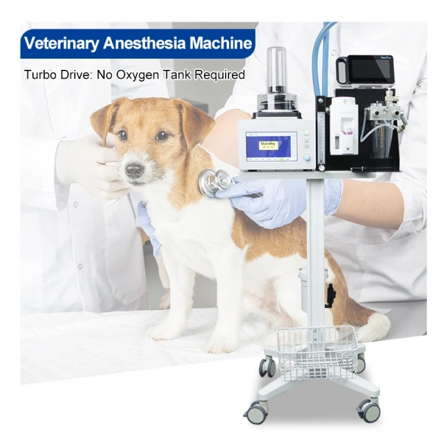 Oxygen Concentrator,Vet Respiratory Dog Anesthesia Machine Medical 0.5-100kg Animals Veterinary Anesthesia Medicine with Trolley
