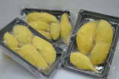 冷凍ドリアン　ベトナム産　500g