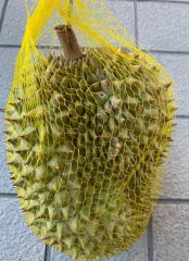 【ベトナム】新鮮ドリアンフルーツ1個 独特な香りと濃厚な味わい