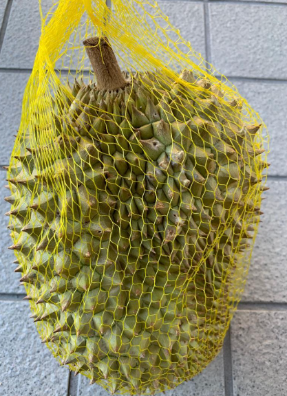 【ベトナム】新鮮ドリアンフルーツ1個 独特な香りと濃厚な味わい