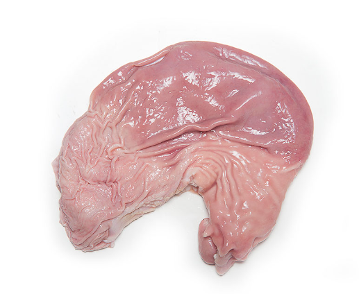 猪肚1kg