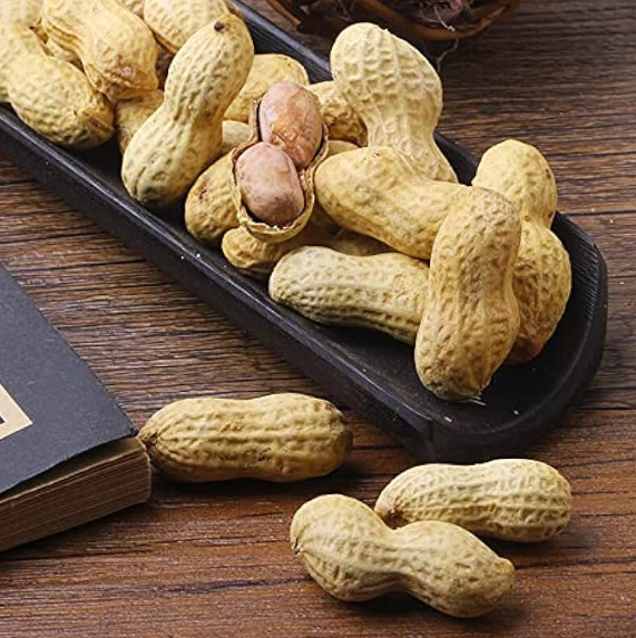 炒花生带壳500g