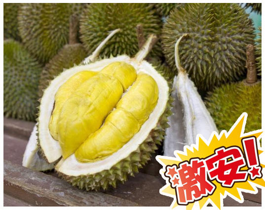 【ベトナム】新鮮ドリアンフルーツ1個 独特な香りと濃厚な味わい  2.4-2.7kg