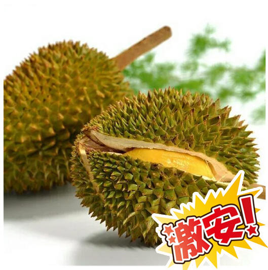 ベトナム】新鮮ドリアンフルーツ 1個 独特な香りと濃厚な味わい 2.8-3.1kg