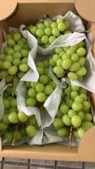 長野県産 ”シャインマスカット”約5ｋｇ/箱　6房 秀