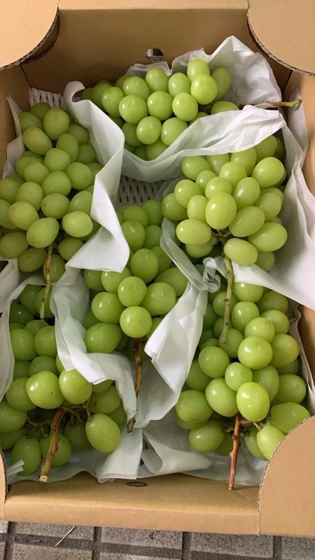 長野県産 ”シャインマスカット”約5ｋｇ/箱　6房 秀