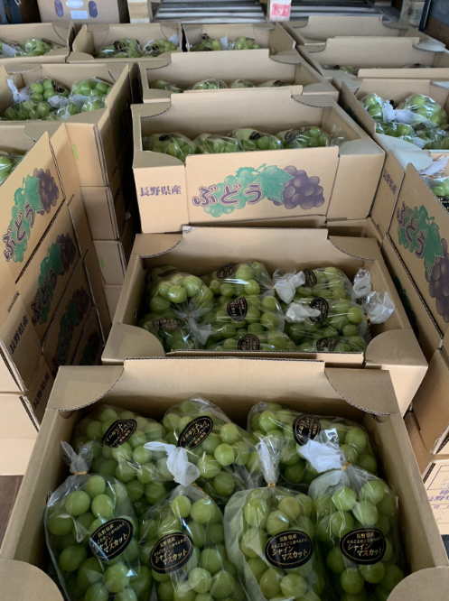 アートフラワー 野葡萄5本&葡萄1本セット売り 選べる発送年度】甲州市