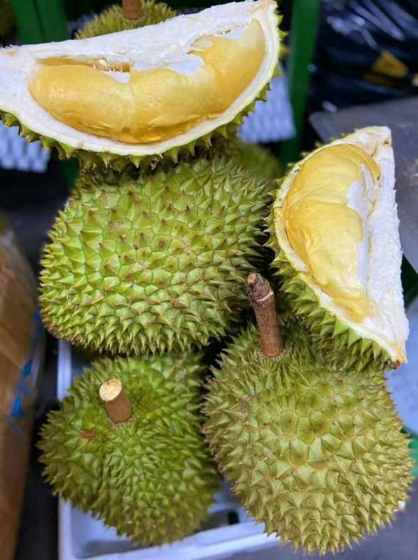 ベトナム産越南新鲜榴莲ドリアン 1個 独特な香りと濃厚な味わい 1.0