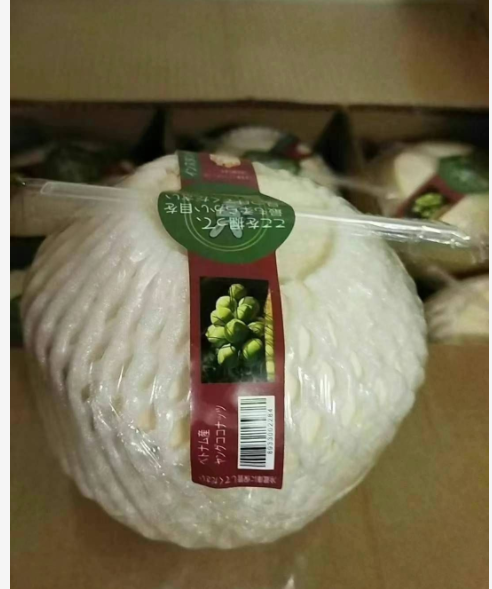 越南青椰子ベトナムのココナッツ 12玉一箱 約10-11kg