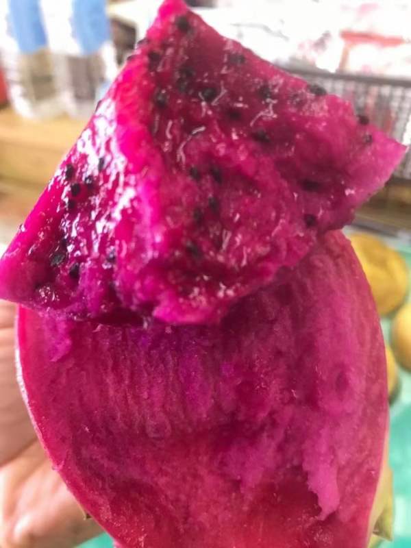 越南红心火龙果  单个装