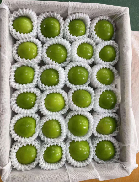 台湾产蜜枣台湾産「蜜棗(ナツメ)」24玉/箱/2.5㎏