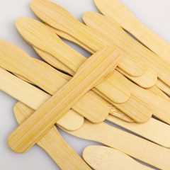 Bamboo Spoon For Tasting Ice- cream