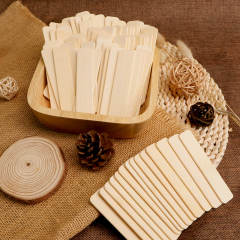 100% biodegradable disposable bamboo ice cream  stick popsicle stick