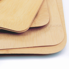 Biodegradable Disposable Dinner Plate Natural Bamboo Material Organic Pulp for Restaurant and Party Supply