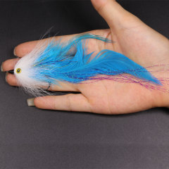 Color 1