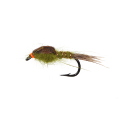 Olive