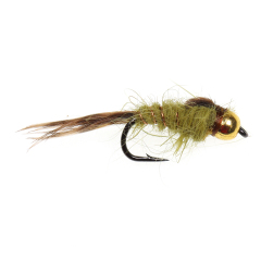 Olive