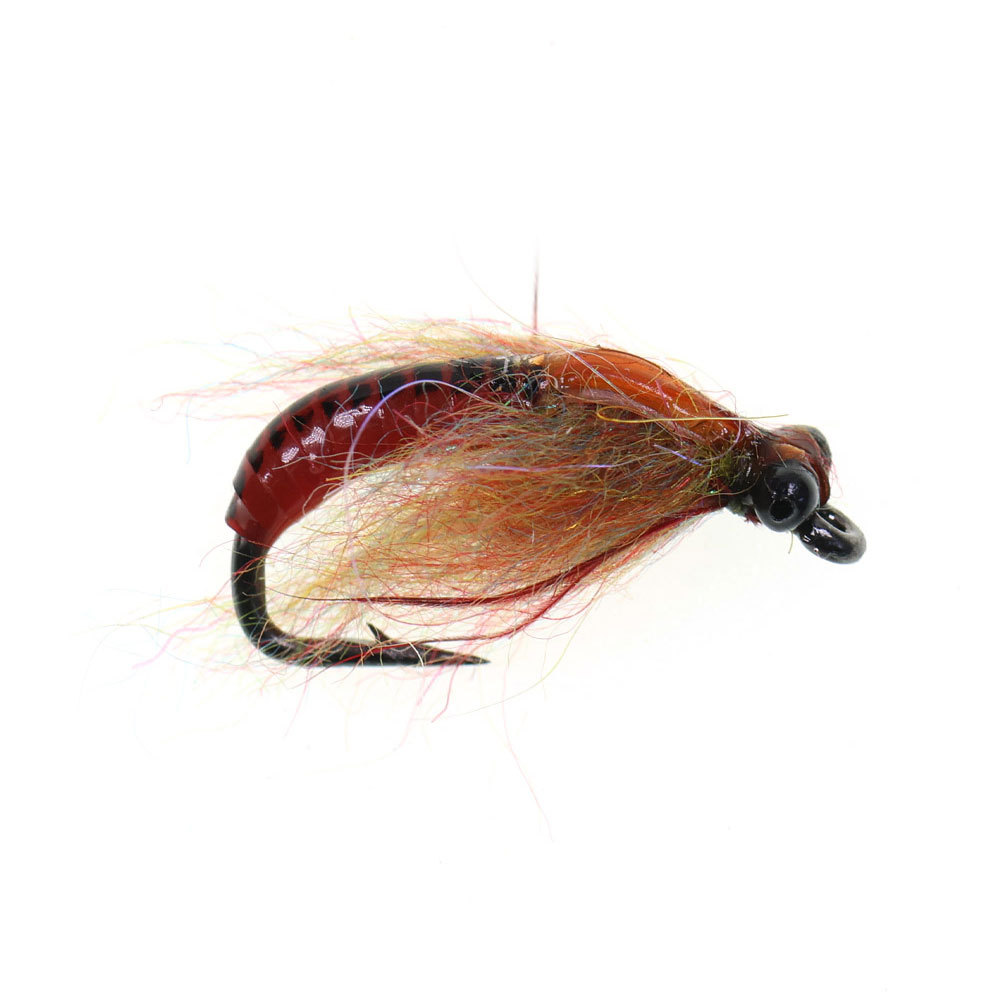 #8 Caddis Pupae Scud Nymph Fly