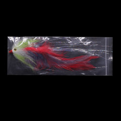 Color 5