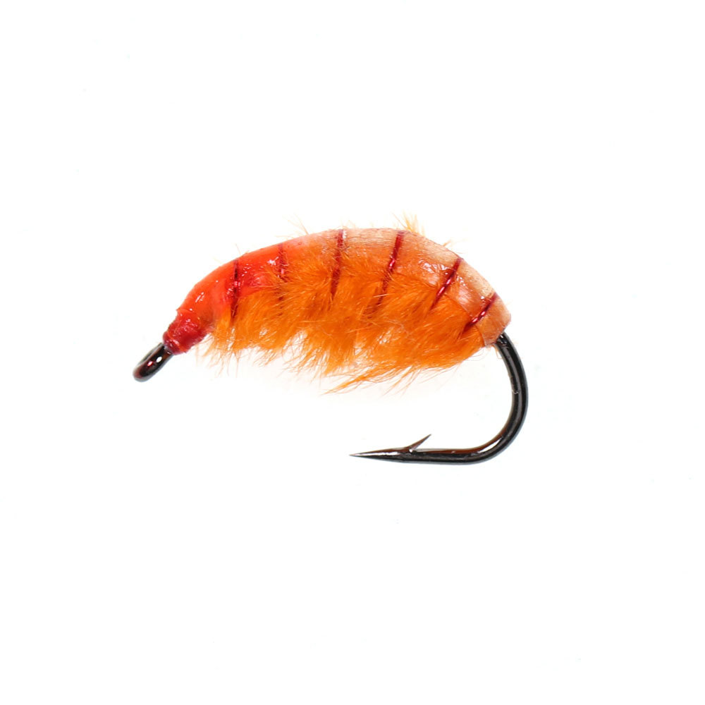 #8 Fast Sinking Czech Nymphs Scud Bug Worm Fly