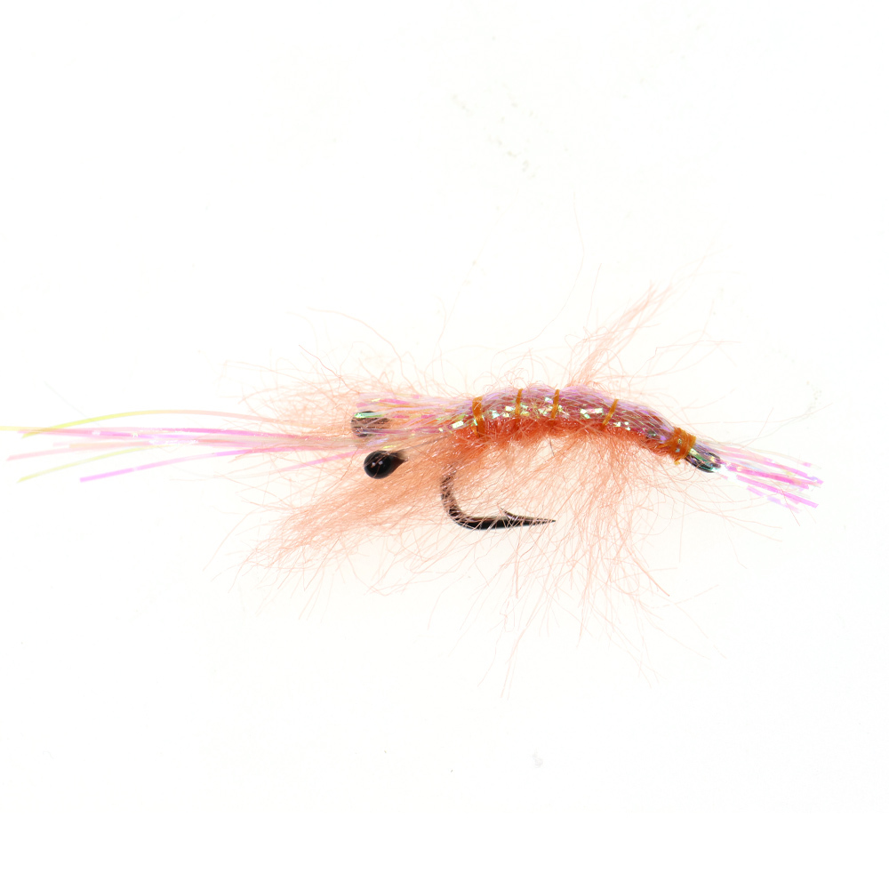#6 Flash Shrimp Fly
