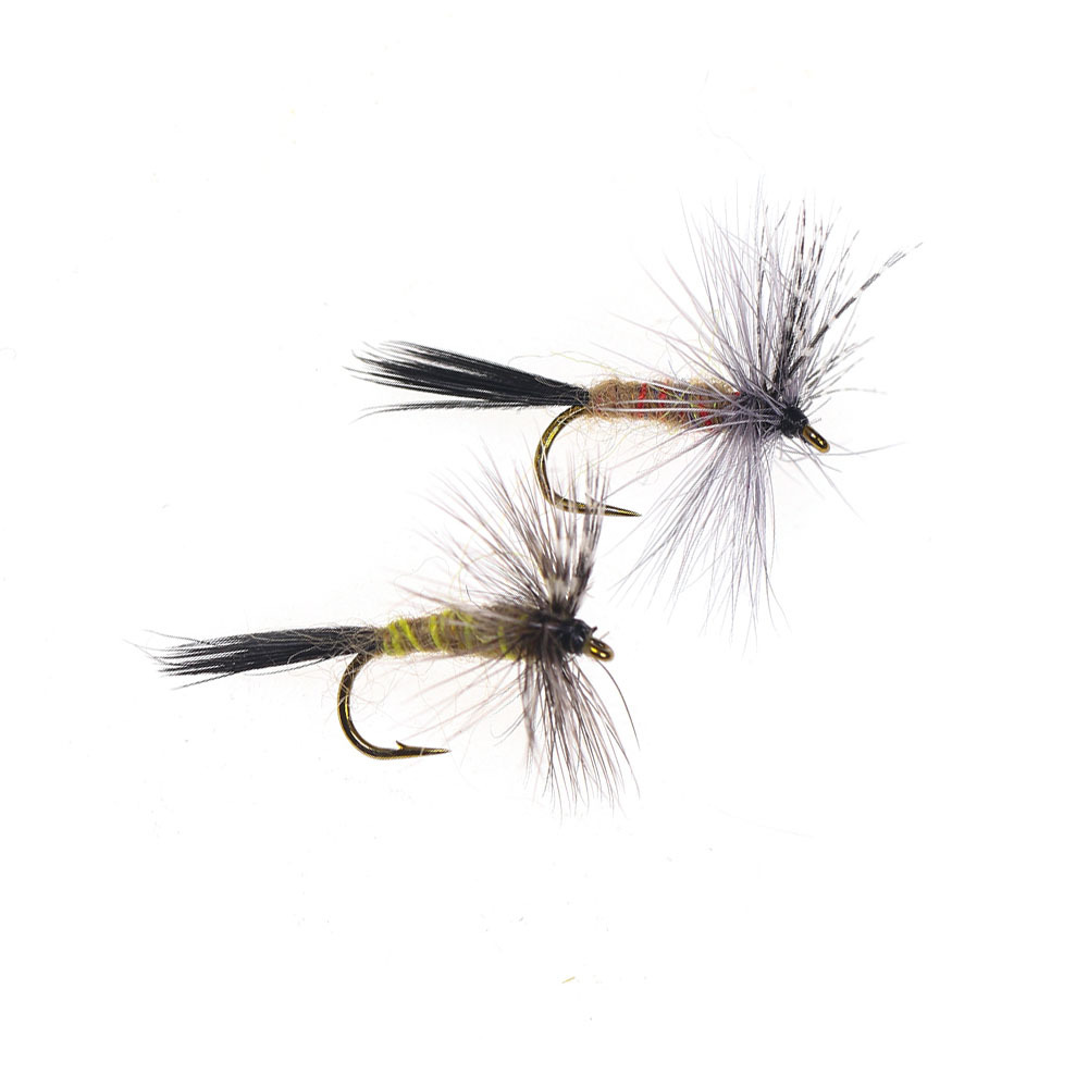 Colorful Body Adams Dry Fly