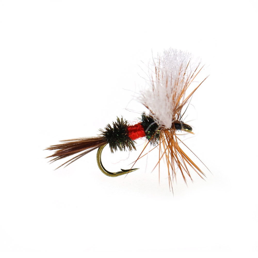 #14 Royal Coachman Wet Flies