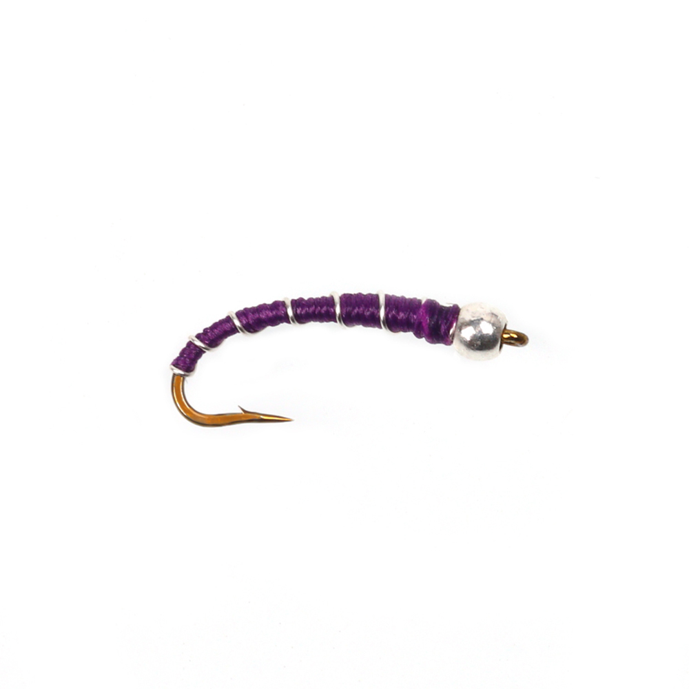 Zebra Midge Larva Fly