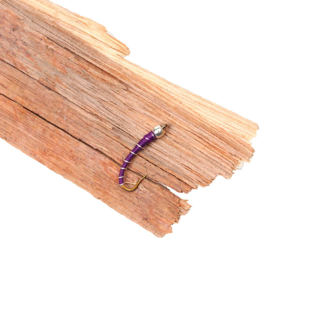 Zebra Midge Larva Fly