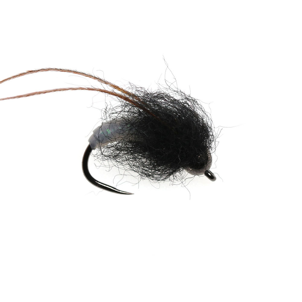 #10 #12 Tungsten Bead Czech Scud Nymphs Sedge Pupae Worm Flies