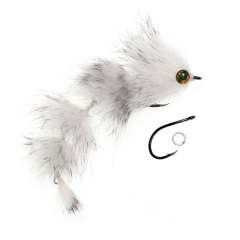B5-White