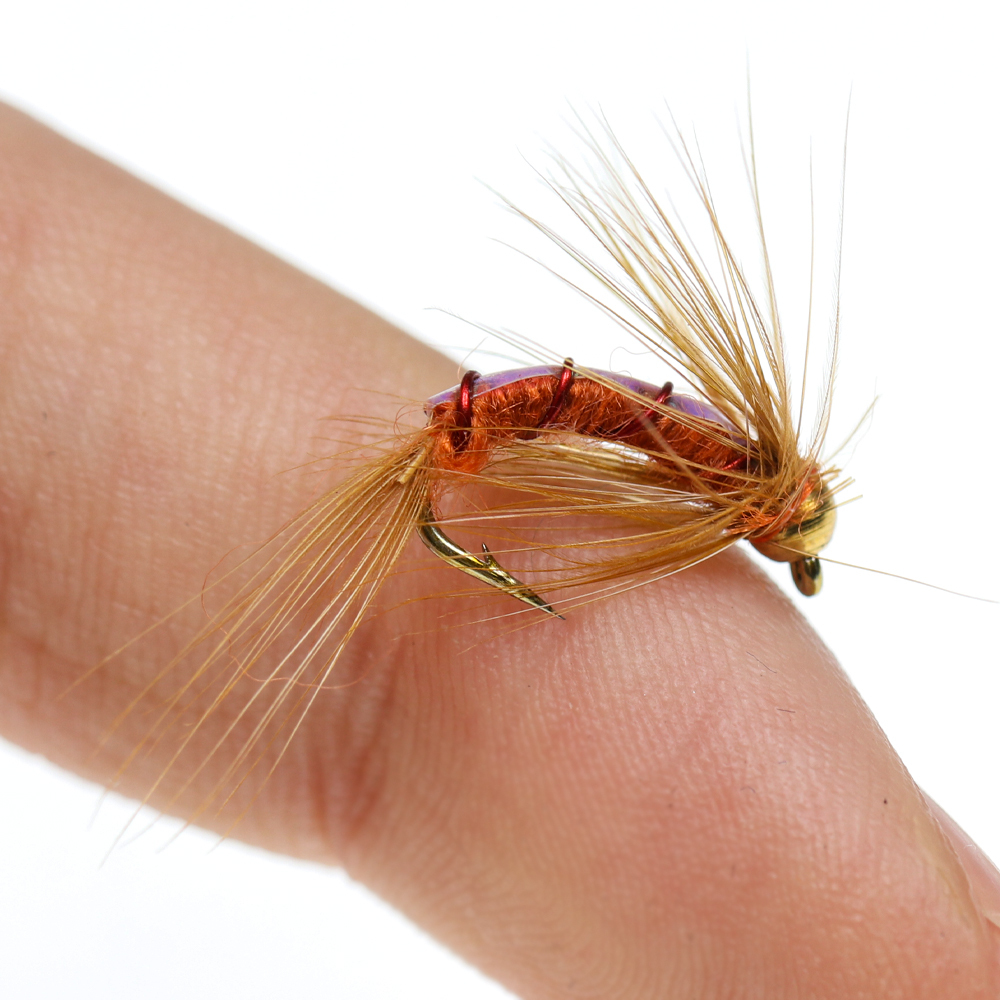 #12 Brass Bead Head Polish Variant Nymph Flies