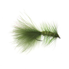 Olive