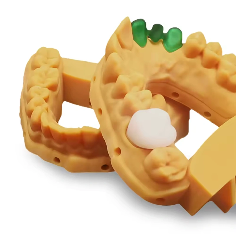 ACMEMFG Dental Crown Resin