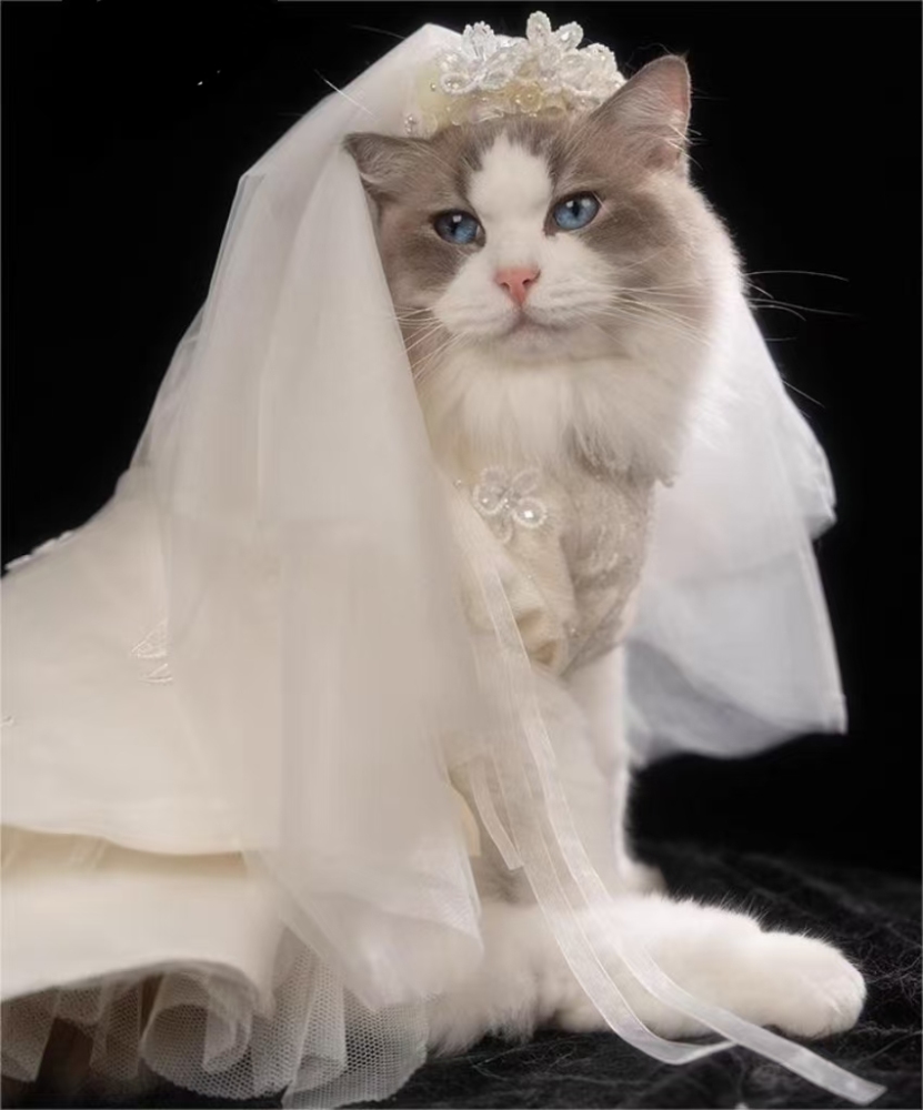 【Clothes】Met Gala | Noble Wedding 090