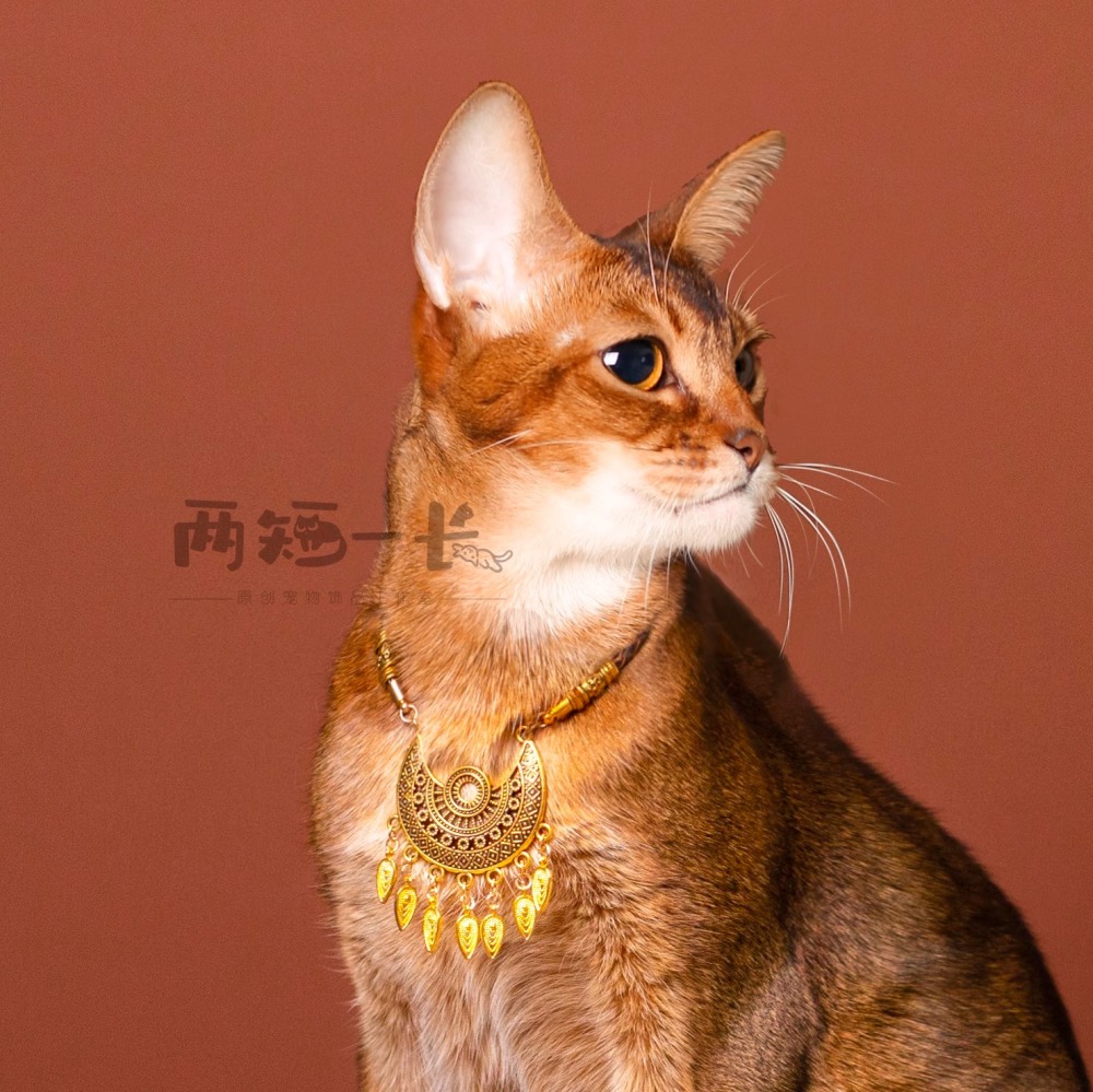 【Choker|Collar】Weaving a golden compass 021