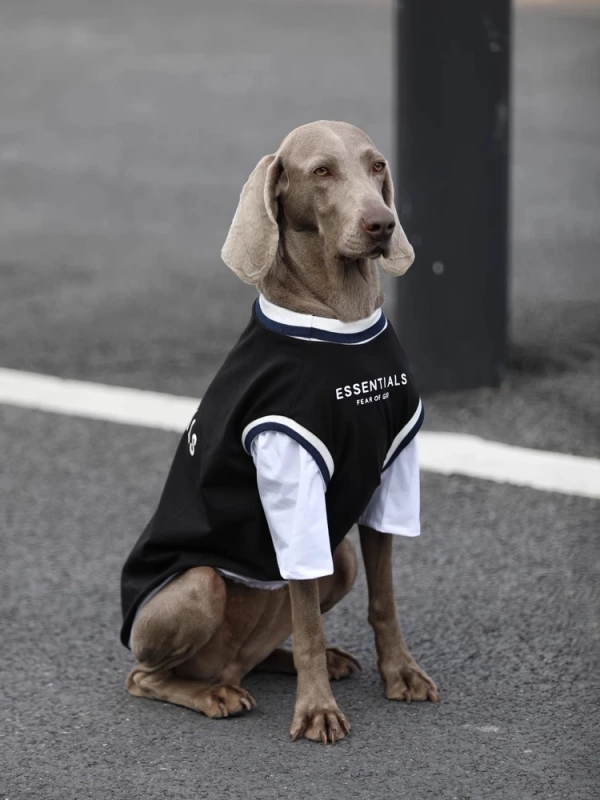 【Outdoors Wear】Patchwork sportswear