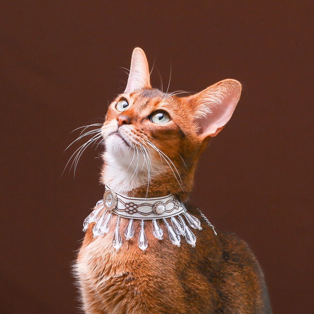 【Choker|Collar】Flying Feathers 057