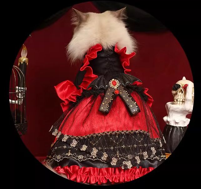 【Clothes】Met Gala | Night Awakening 162