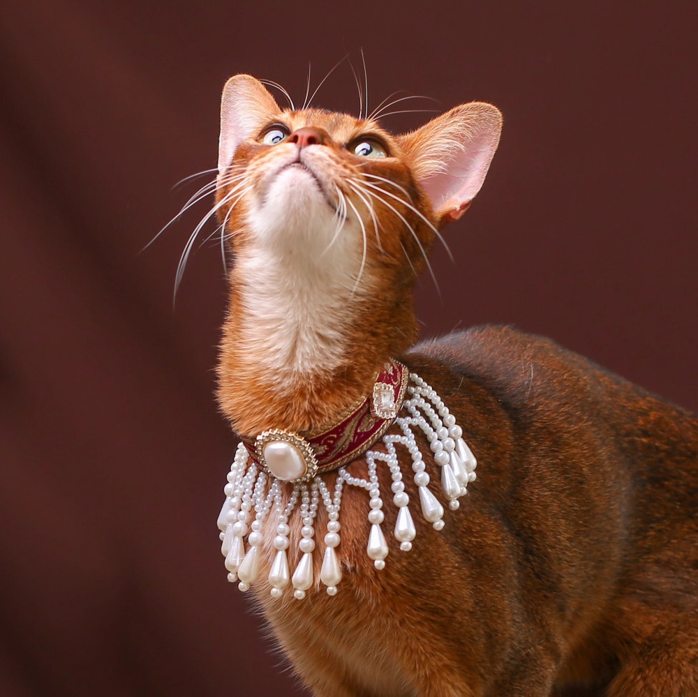 【Choker|Collar】Velvet gemstone dense tassels 052